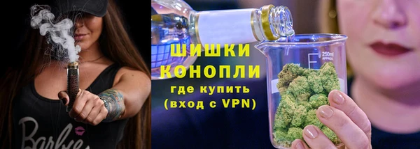 индика Надым