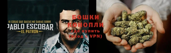 индика Надым