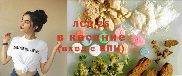 стафф Арсеньев
