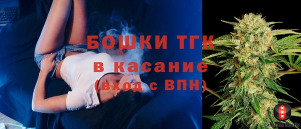 стафф Арсеньев