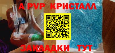 крисы Моздок