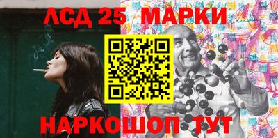 крисы Моздок