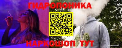 амф Можга