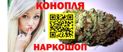 крисы Моздок