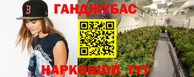крисы Моздок