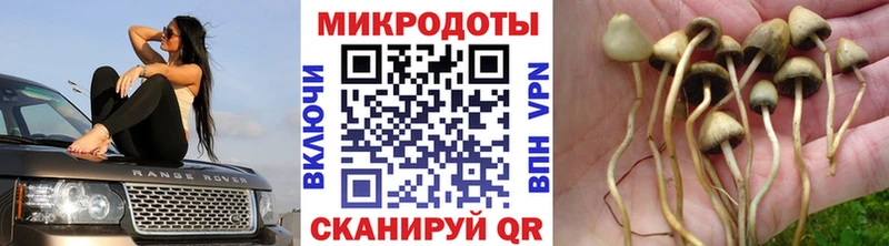 площадка официальный сайт  Курган  Галлюциногенные грибы мухоморы 