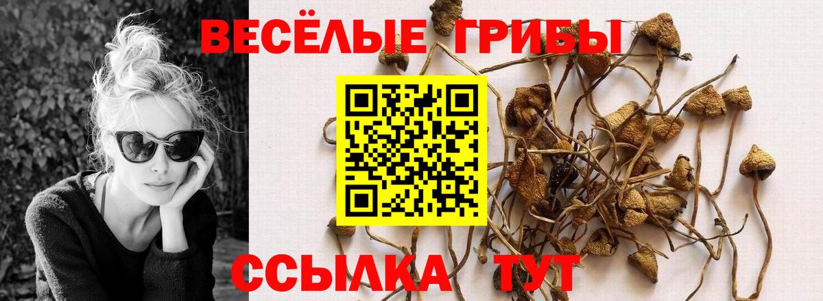 Галлюциногенные грибы мицелий Курган