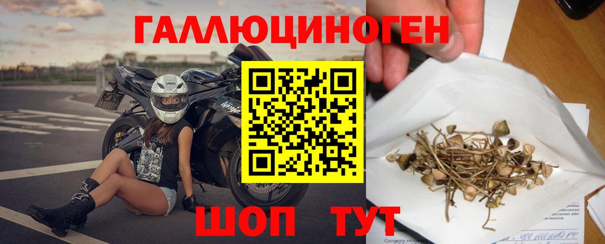 Галлюциногенные грибы MAGIC MUSHROOMS  Вход с VPN  Курган 