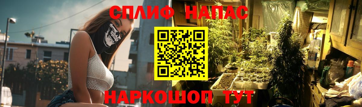 Каннабис семена Курган